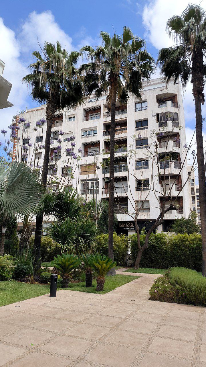 #Casablanca, media 3