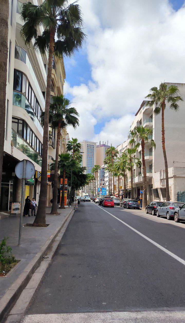 #Casablanca, media 4