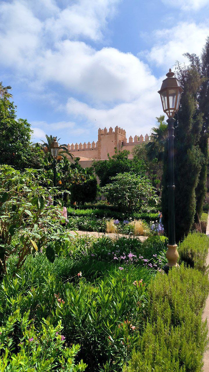 #Rabat, media 7