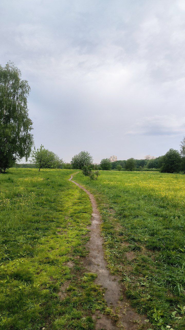 #Moscow, media 1