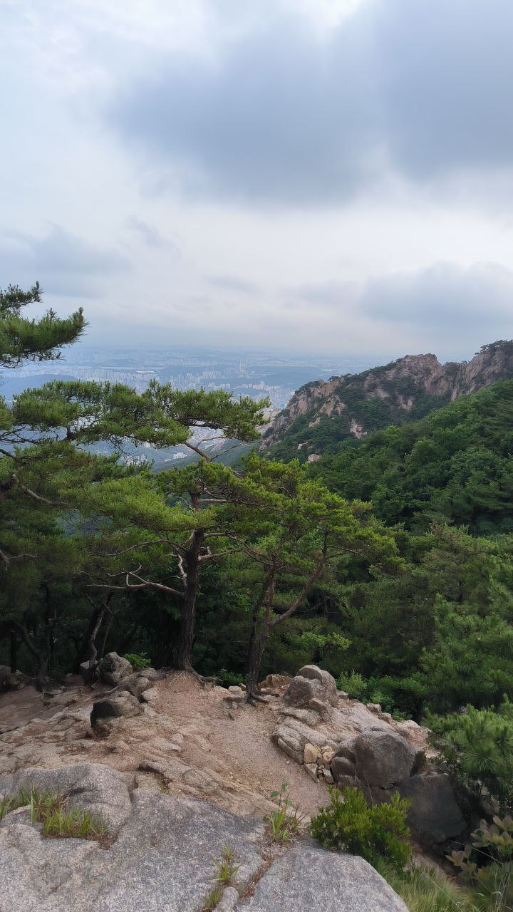 #Seoul, media 4