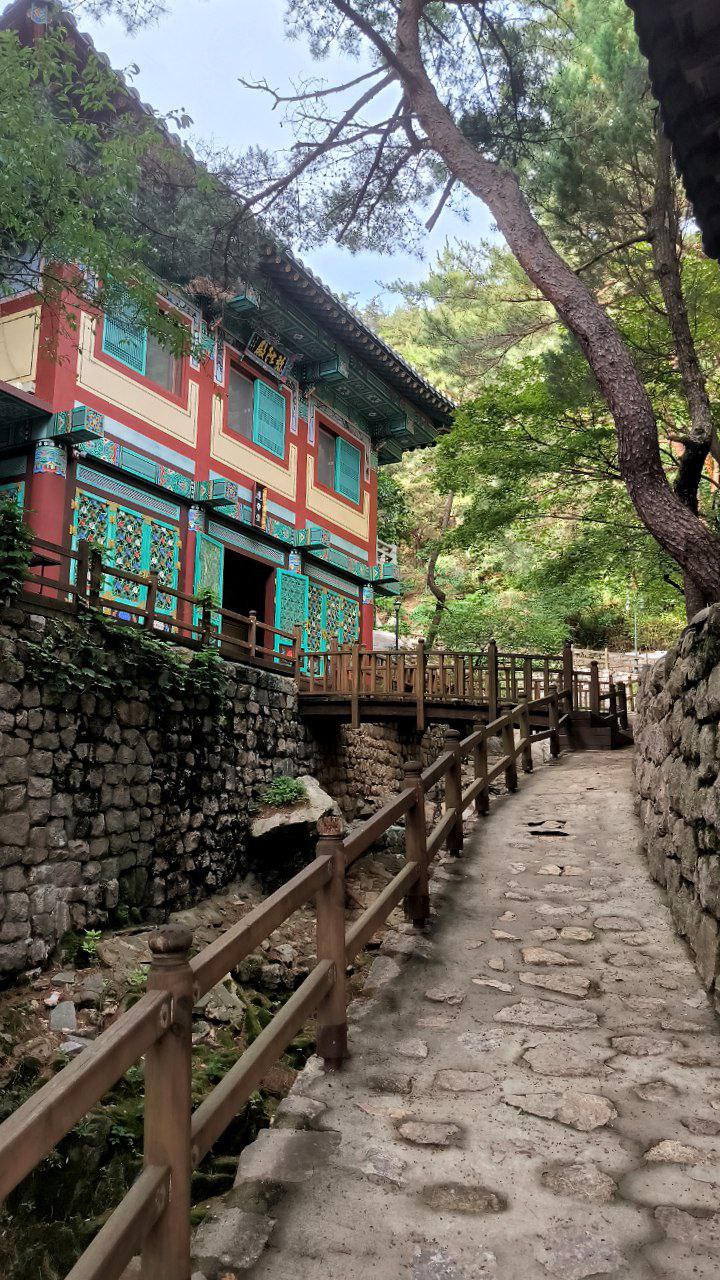 #Seoul, media 8
