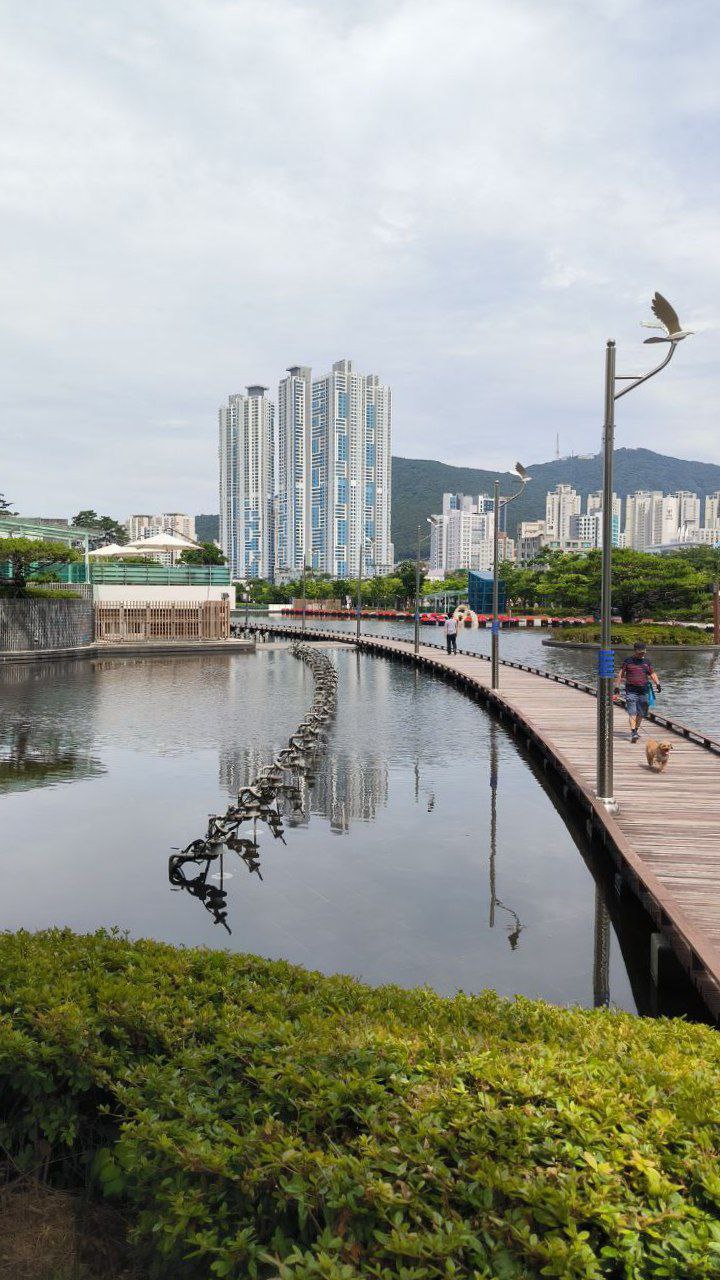 I went to #Busan for 5 days., media 4