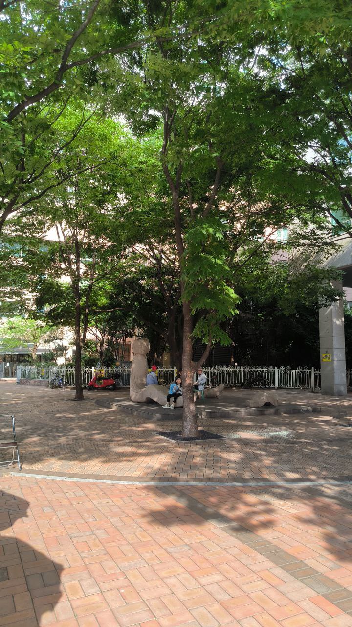 I went to #Busan for 5 days., media 8