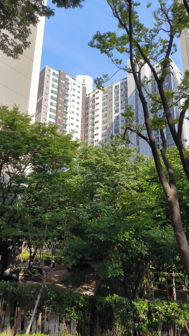 I went to #Busan for 5 days., media 10