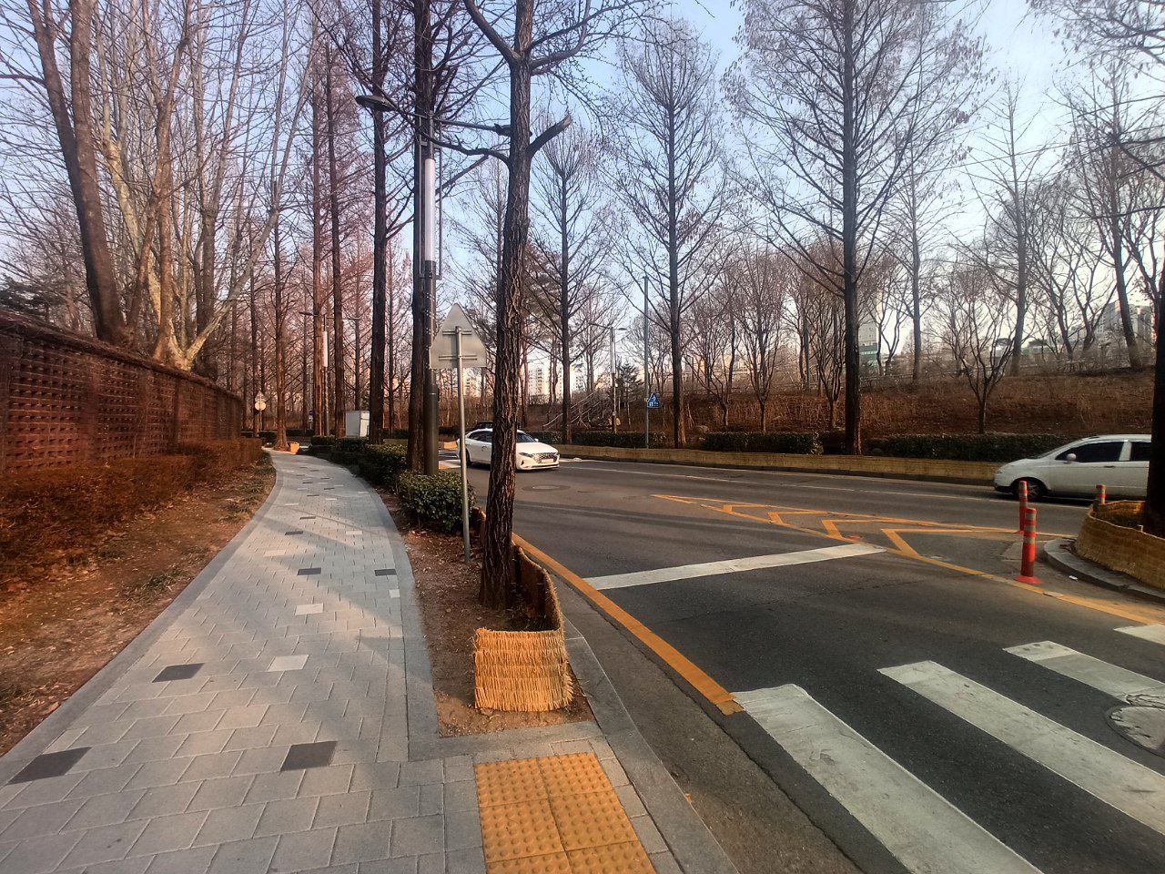 #Seoul, media 5