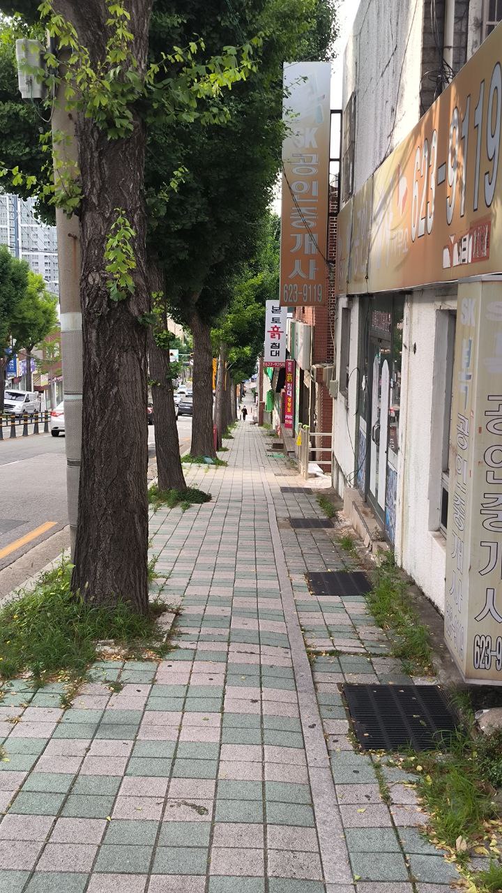 #Busan, media 3