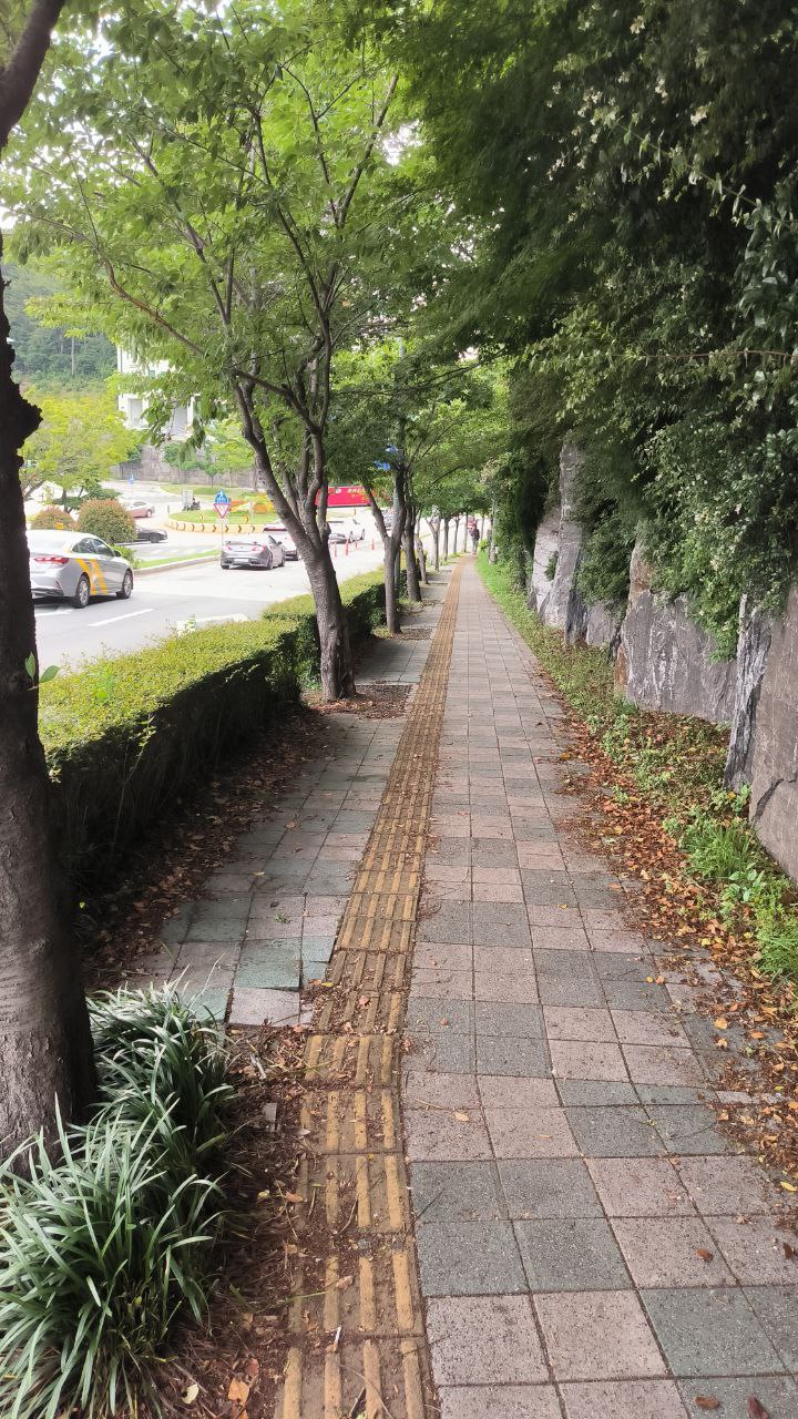 #Busan, media 10