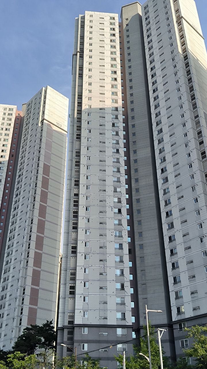 #Busan, media 7