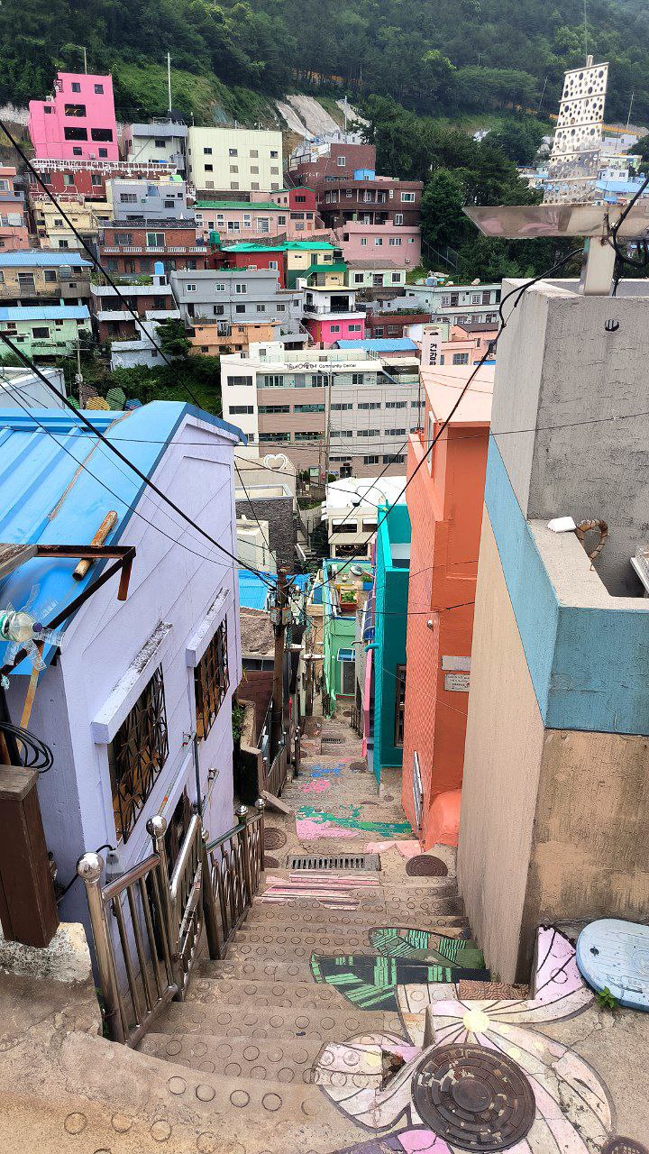 #Busan, media 4