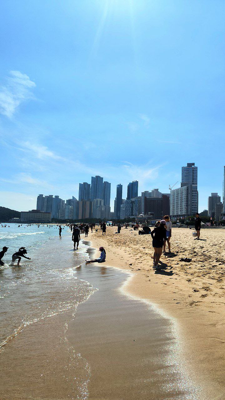 #Busan, media 2