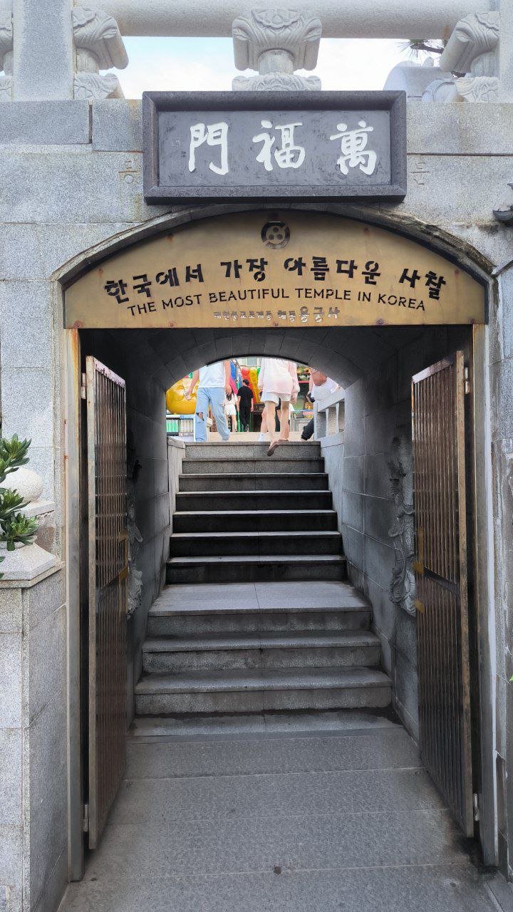#Busan, media 1