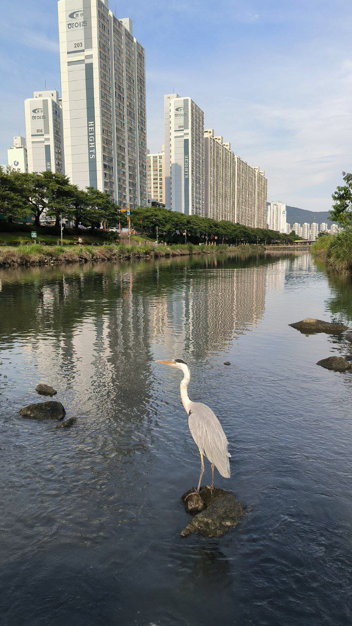 #Busan #Review, media 2