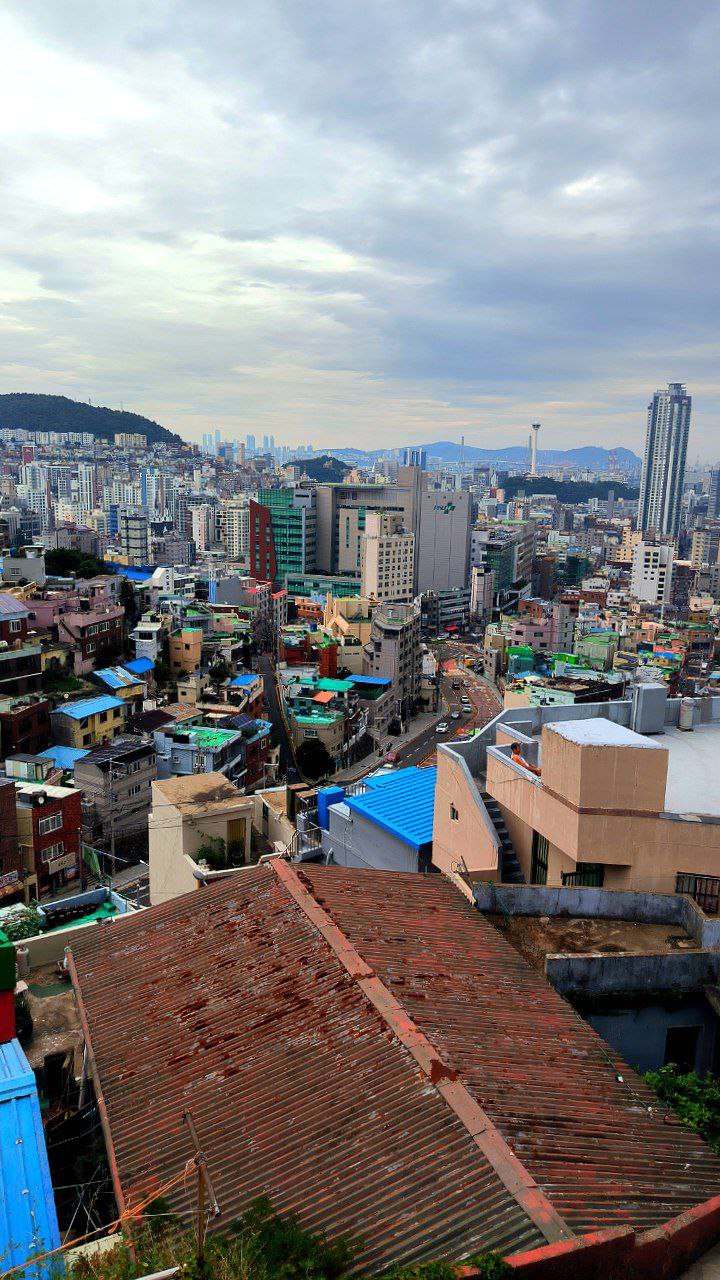 #Busan #Review, media 3
