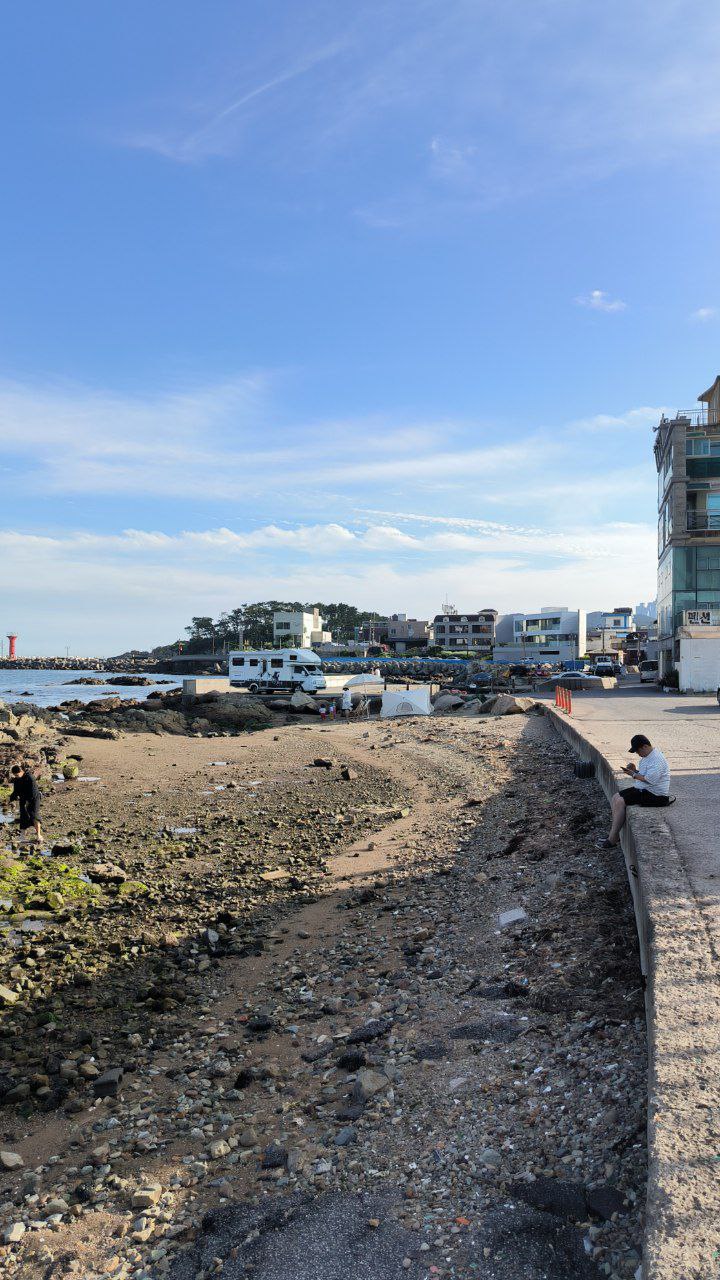 #Busan #Review, media 6