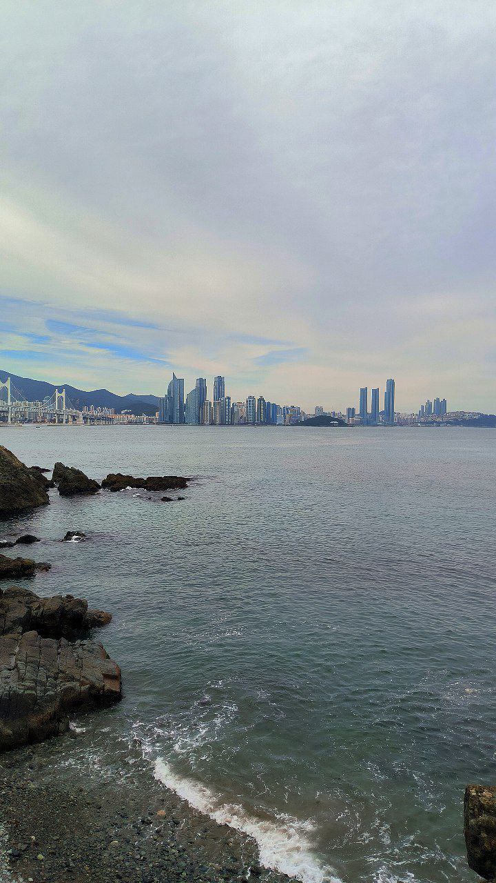 #Busan, media 1