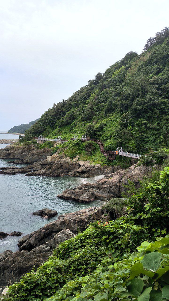 #Busan, media 4