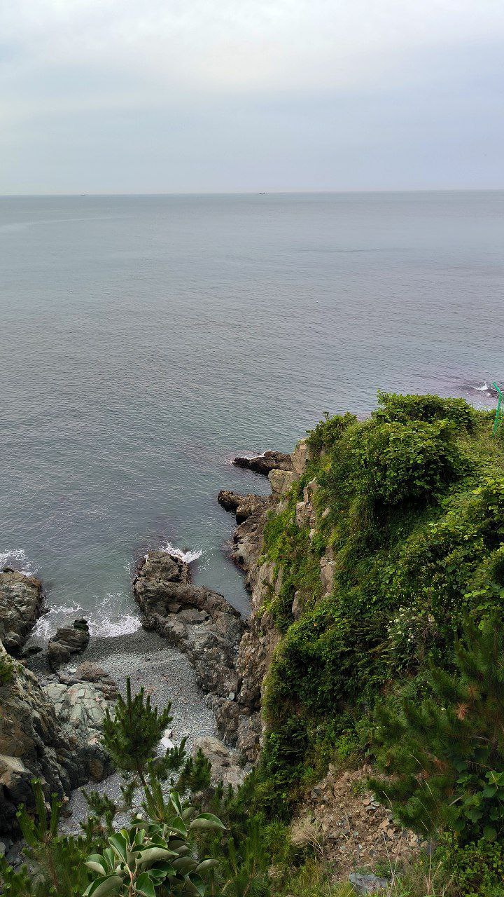 #Busan, media 6