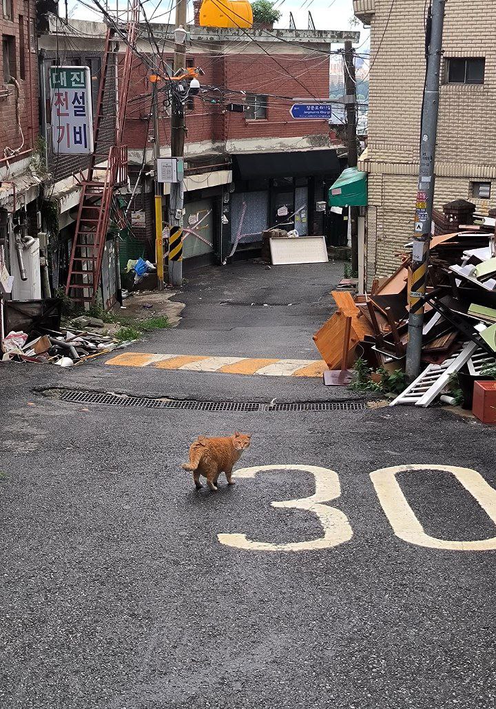 #Seoul, media 3