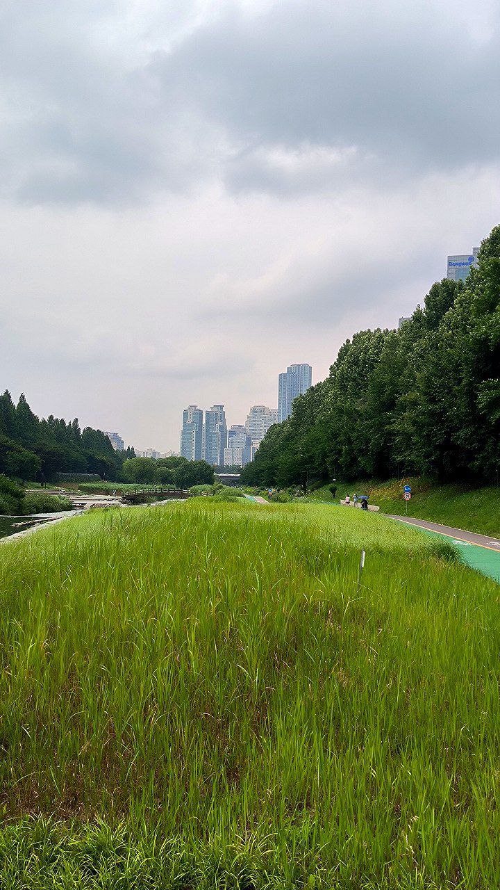 #Seoul, media 1