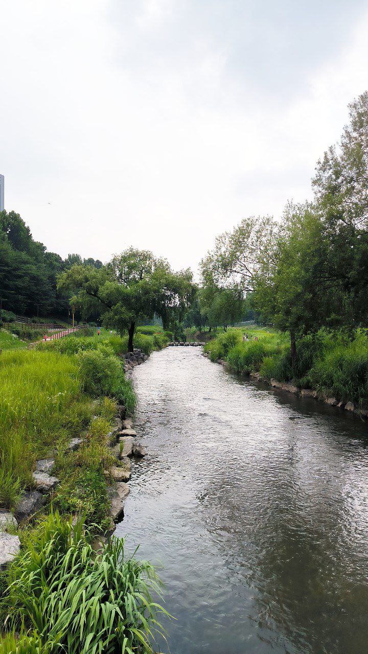 #Seoul, media 3