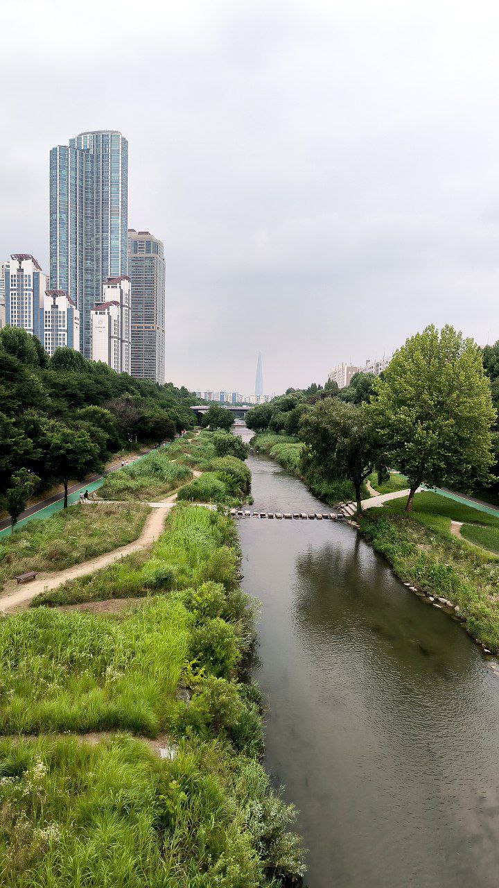 #Seoul, media 4