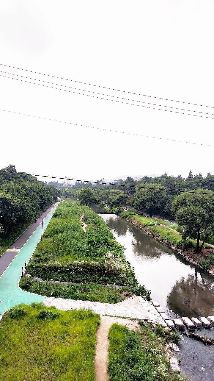 #Seoul, media 5