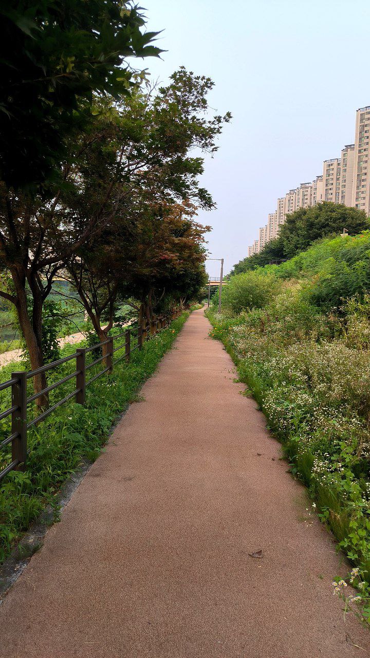 #Seoul, media 7