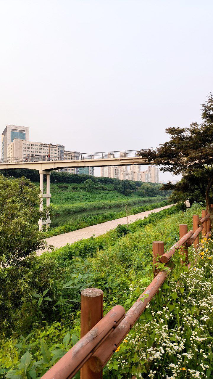 #Seoul, media 8