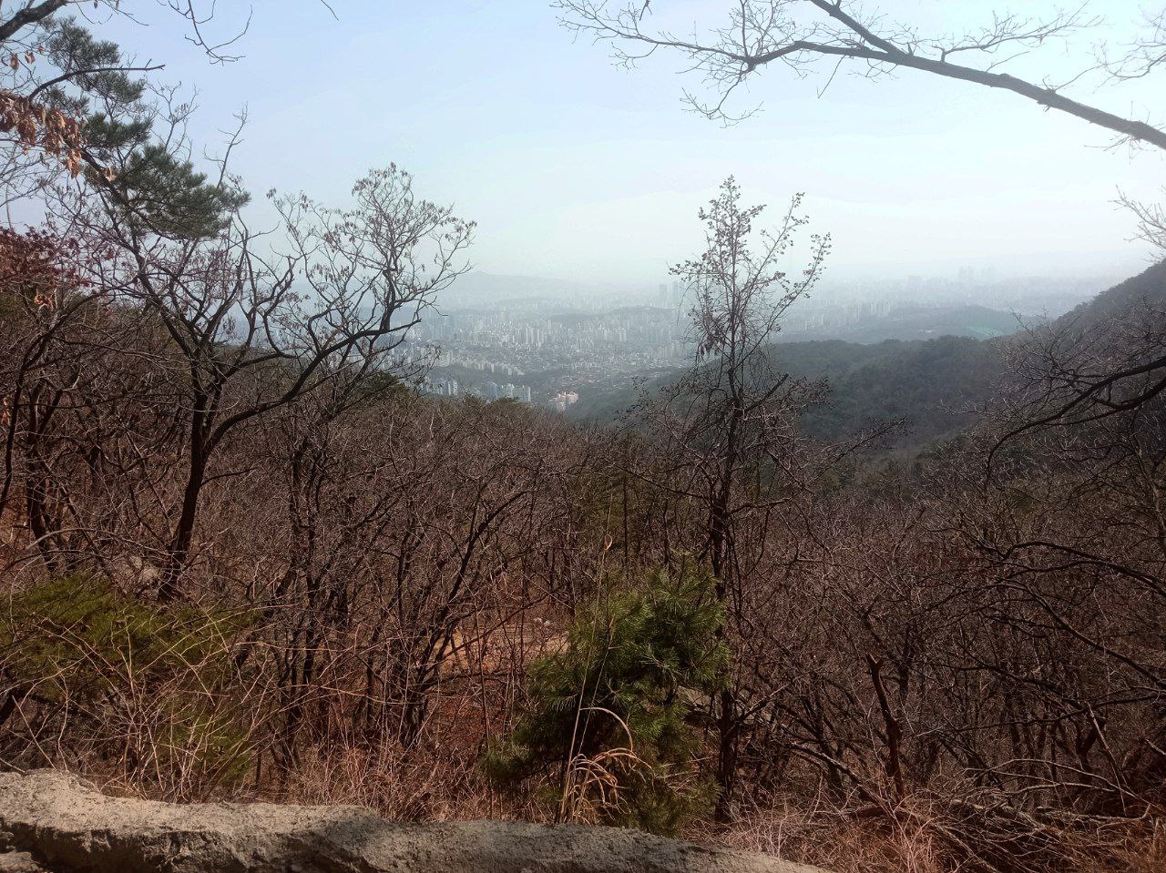 #Seoul, media 2
