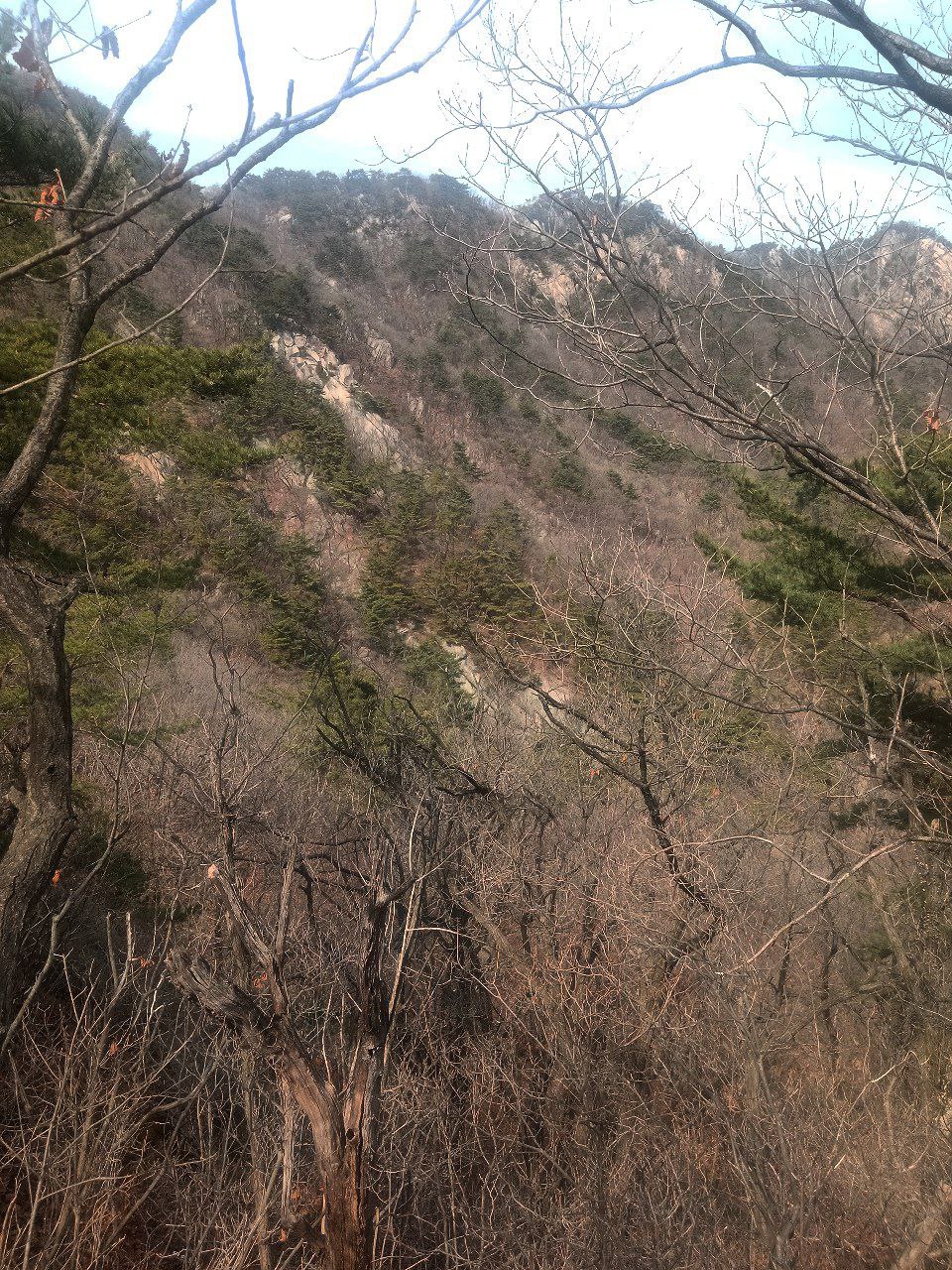 #Seoul, media 3