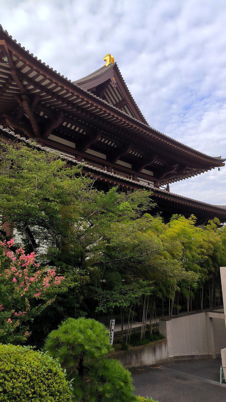 #Tokyo, media 8