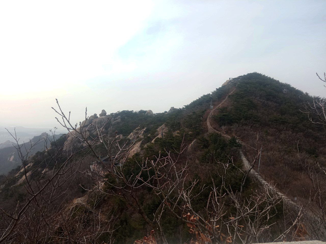#Seoul, media 4