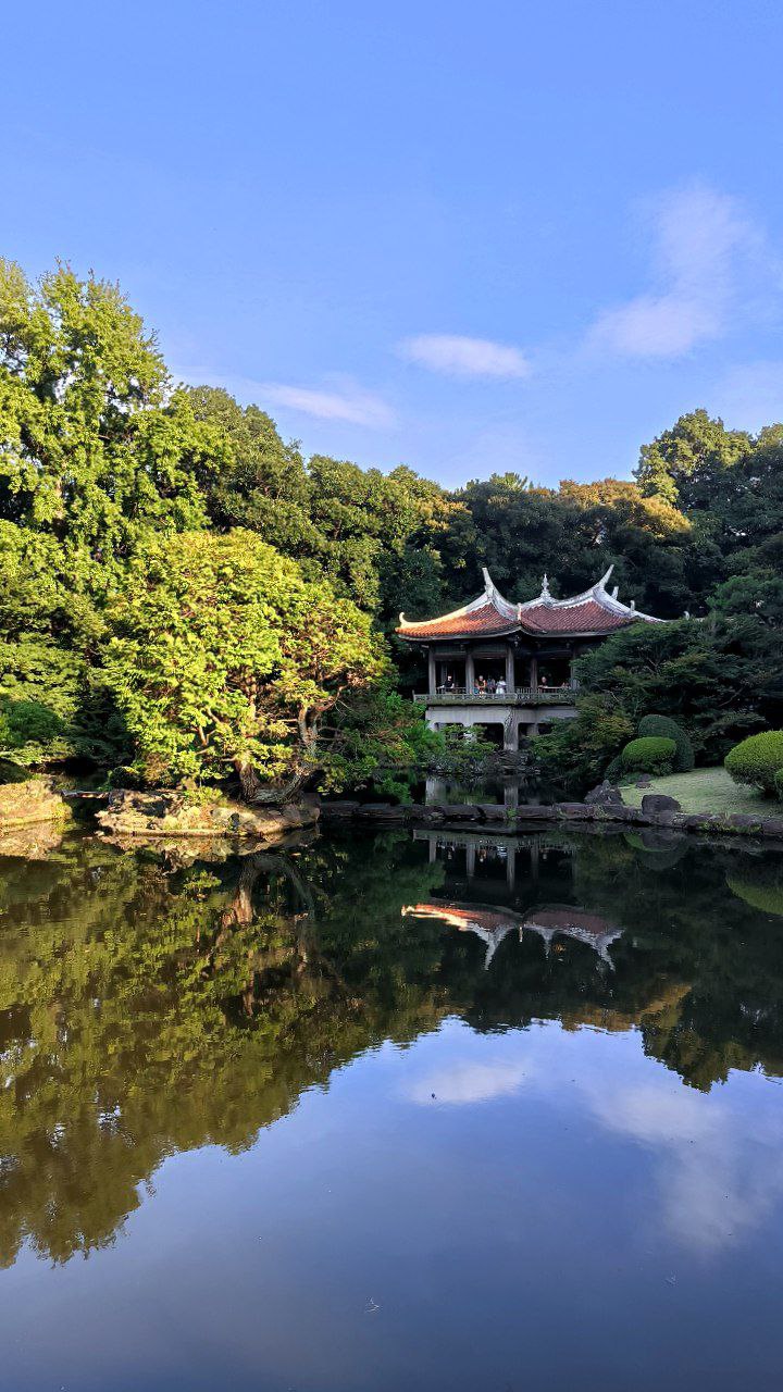 #Tokyo, media 1