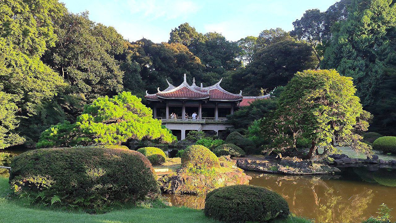 #Tokyo, media 2