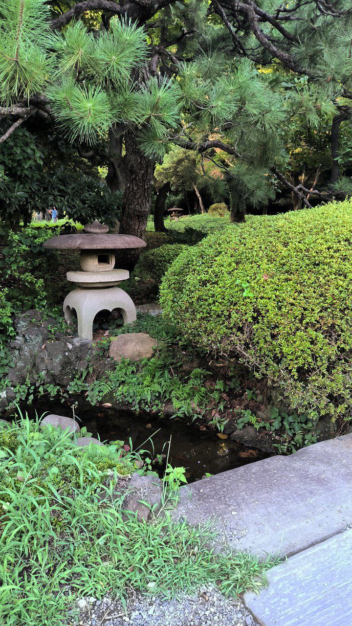 #Tokyo, media 5