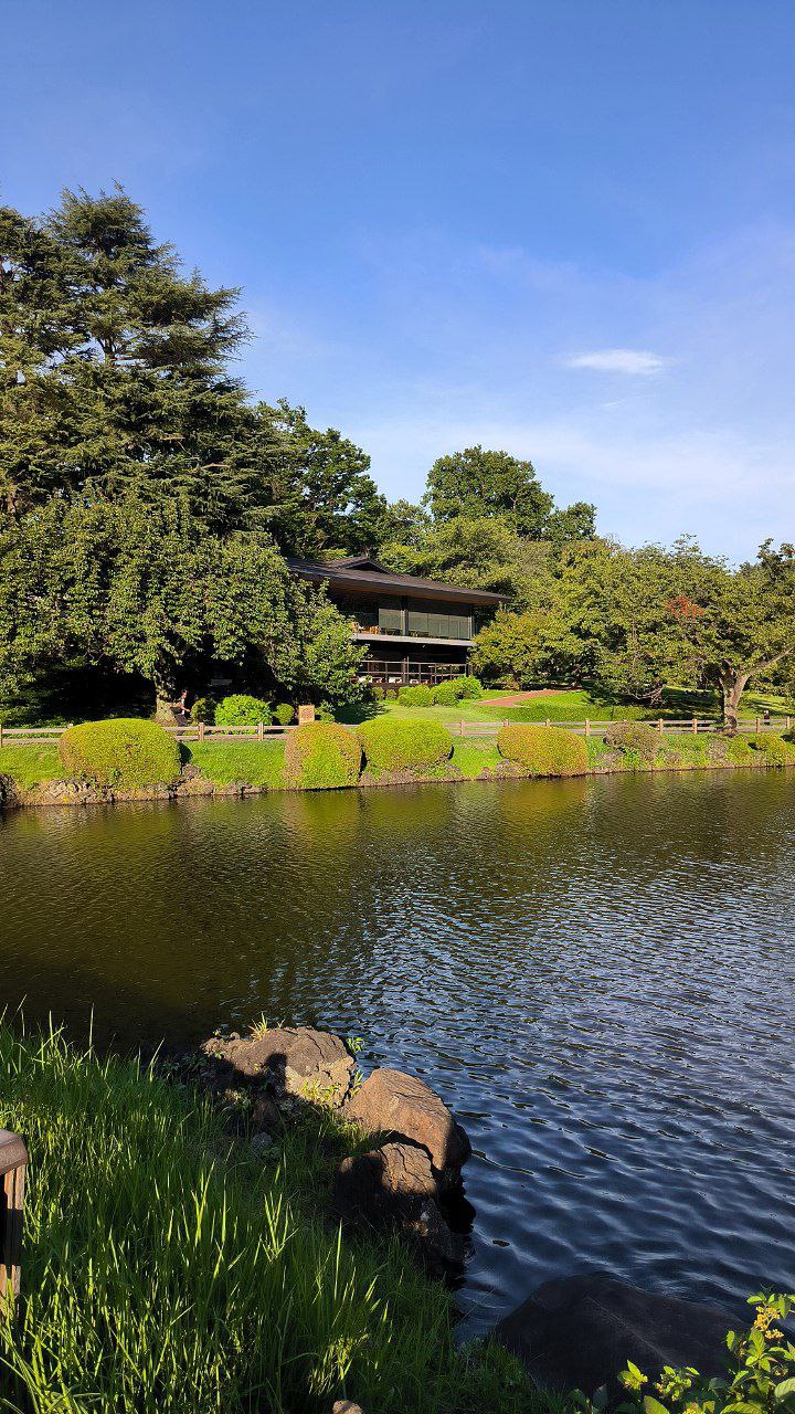 #Tokyo, media 6
