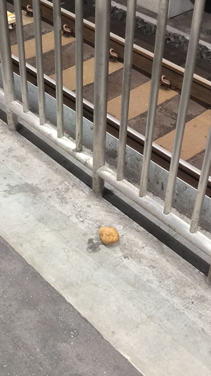 Who lost it?, media 1