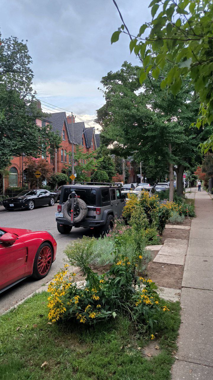 #Toronto, media 6