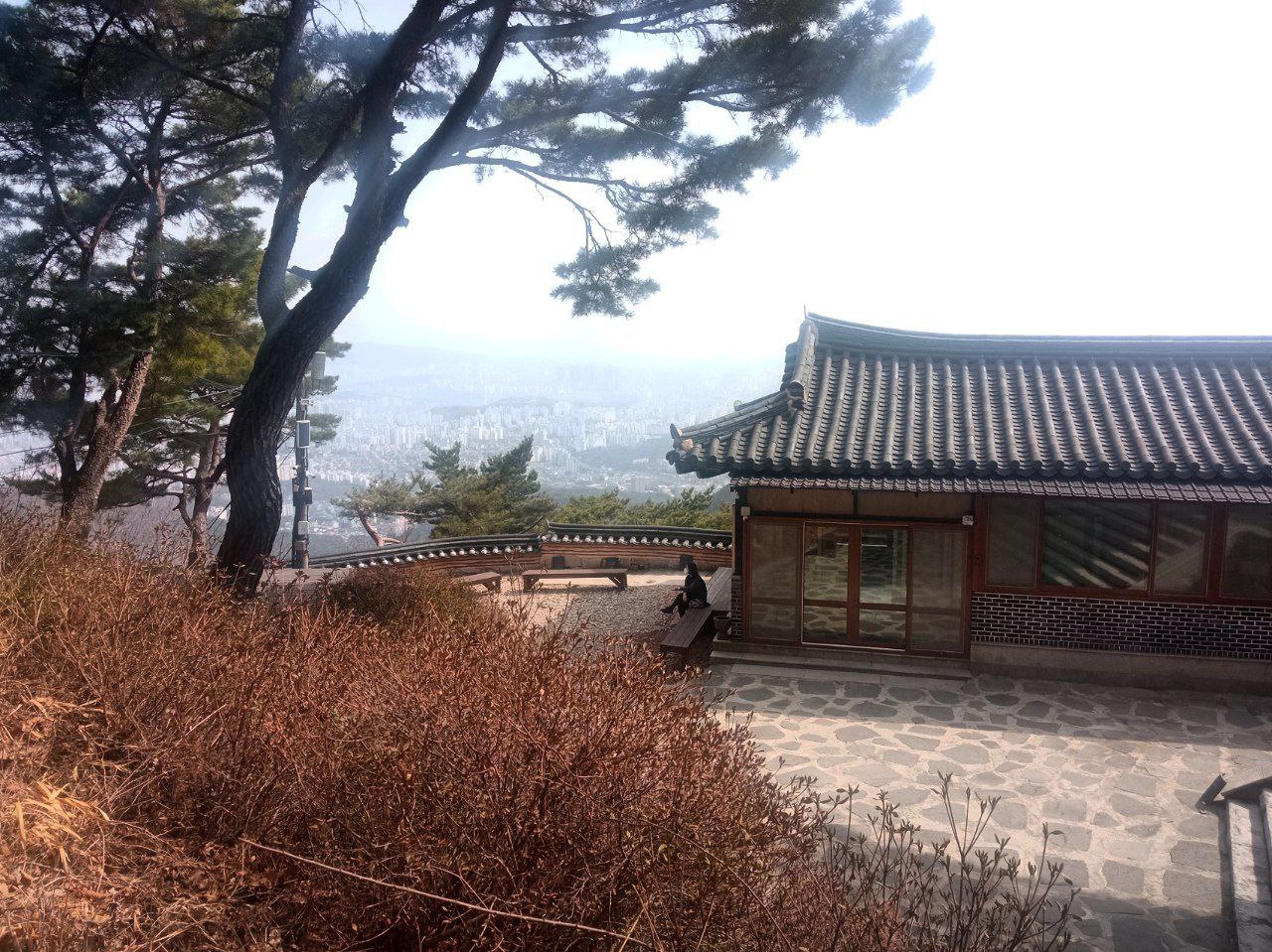 #Seoul, media 2