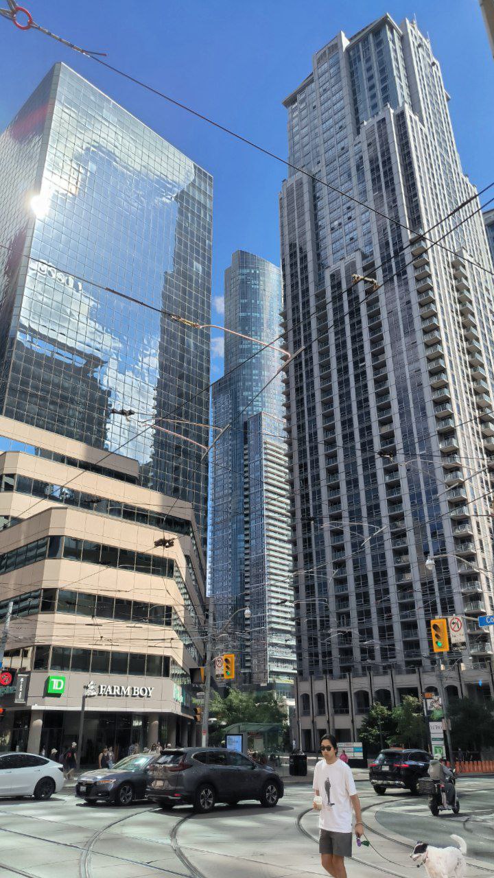 #Toronto, media 1