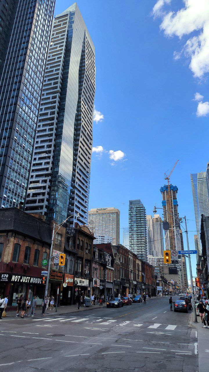#Toronto, media 5