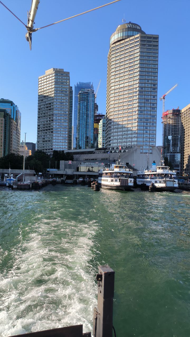 #Toronto, media 1