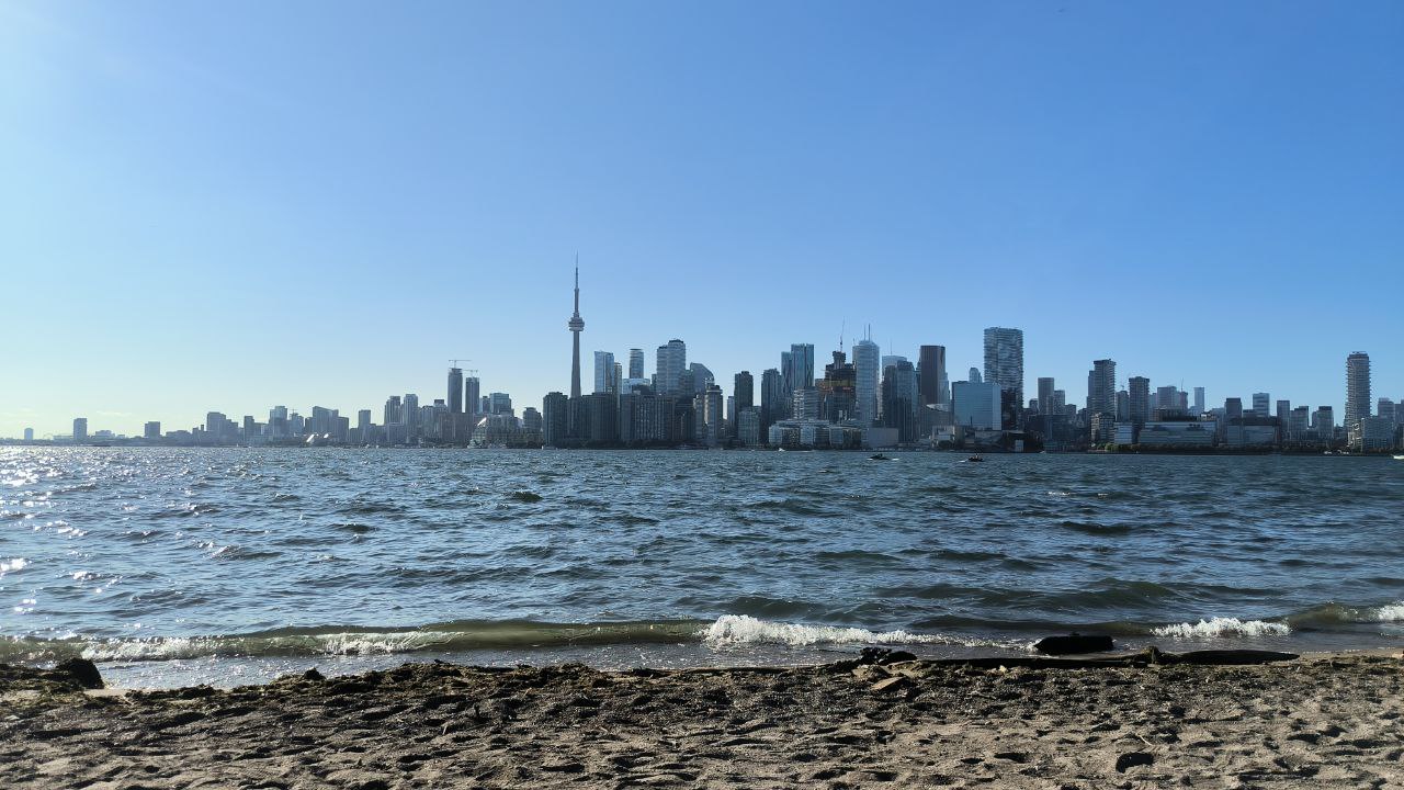 #Toronto, media 5