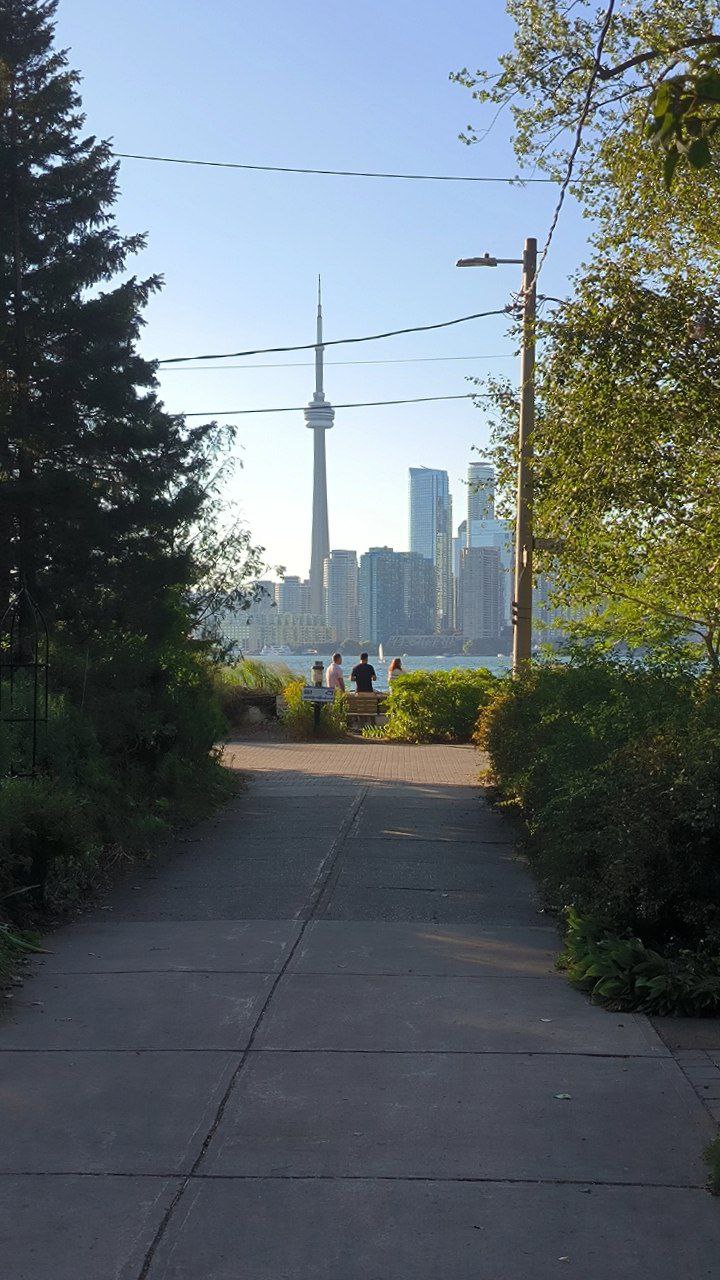 #Toronto, media 6