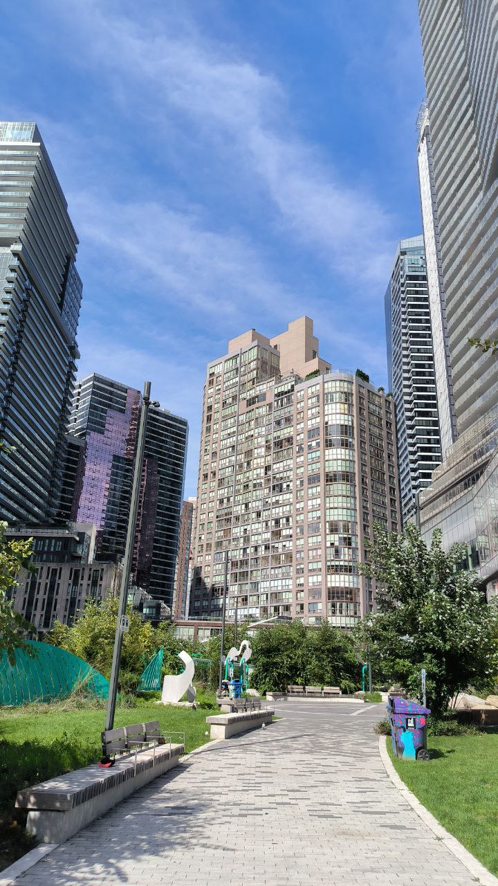 #Toronto, media 1