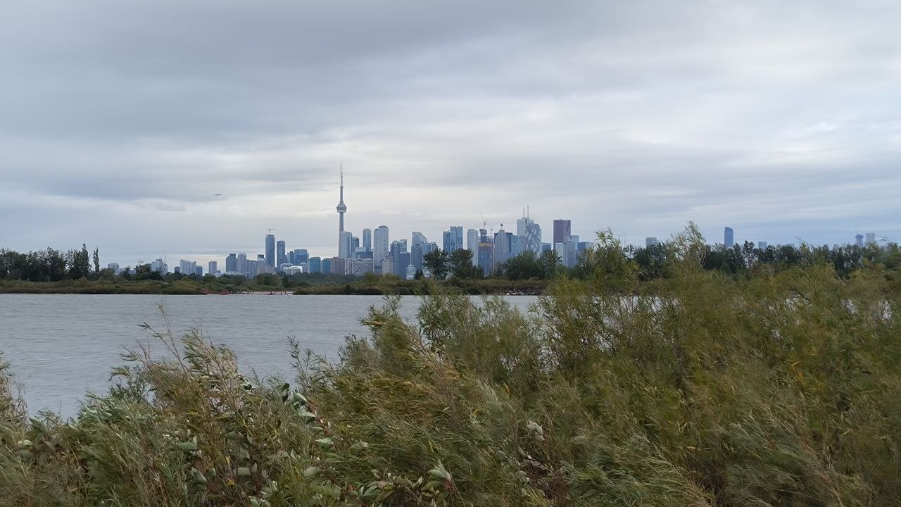 #Toronto, media 1