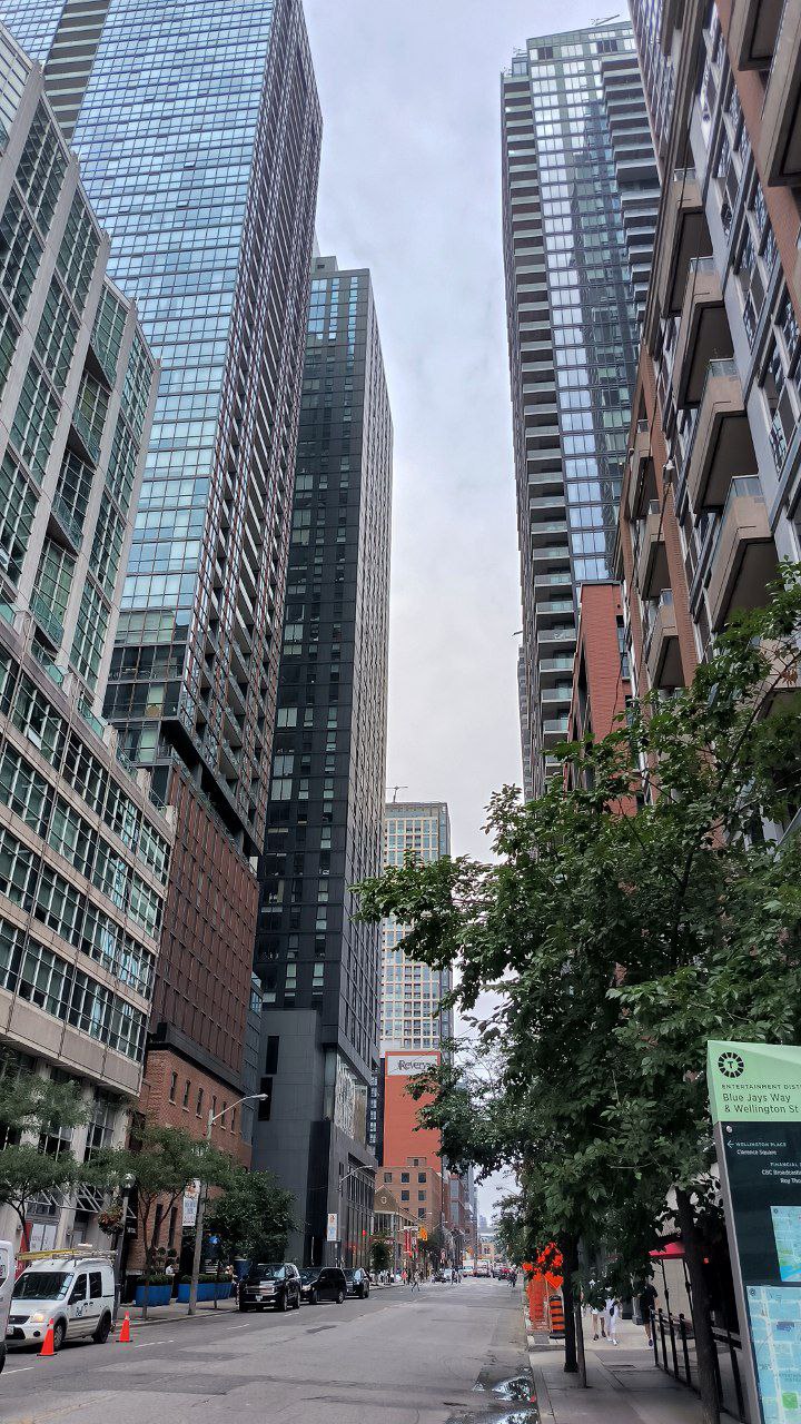 #Toronto, media 6