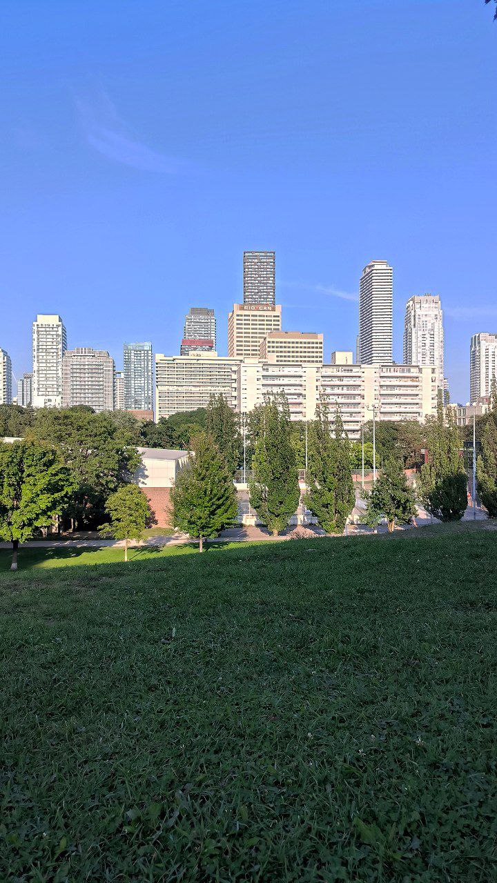#Toronto, media 7