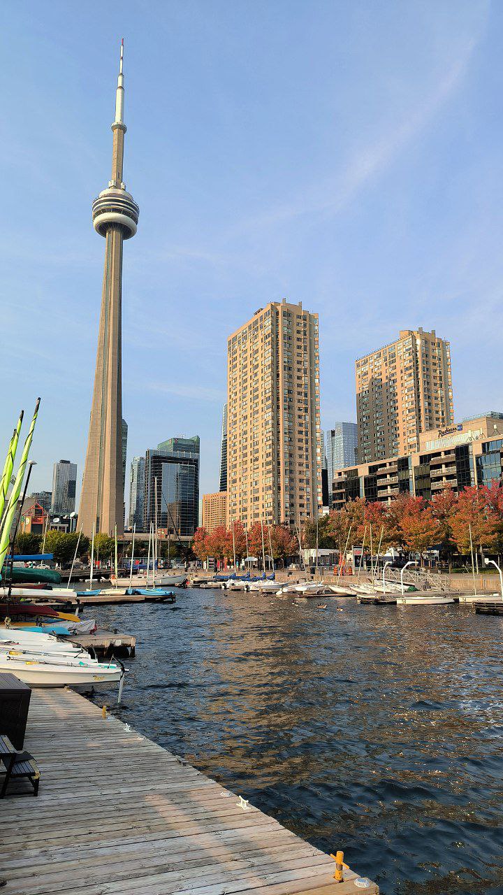 #Toronto, media 1
